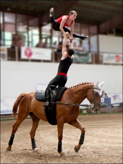 Dans quelle discipline fait-on de la gymnastique sur le cheval ?