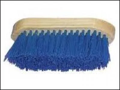 Quelle est cette brosse ?