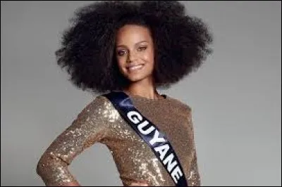 Qui est élue Miss France en 2017 ?