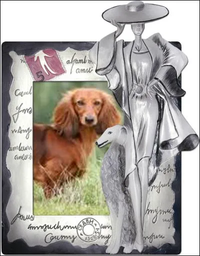 À quel aliment compare-t-on le teckel ?