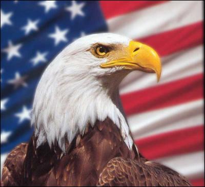 Quel est cet aigle, symbole américain par excellence ?