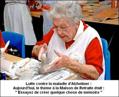 Qui a dit : La vie est une maladie mortelle sexuellement transmissible ?