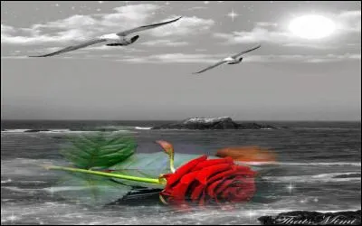 Il est né un 9 février, Il disait, tu vois ce ciel, c'est un bout de toile grise... et on aura le monde entier si tu n'me laisses pas tomber :