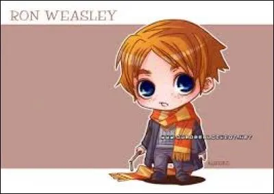 À quel étage la chambre de Ron se trouve-t-elle ?