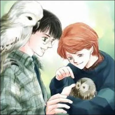 Comment le hibou de Ron se nomme-t-il ?