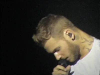 Combien a-t-il fait d'albums ? (au 27 janvier 2016)