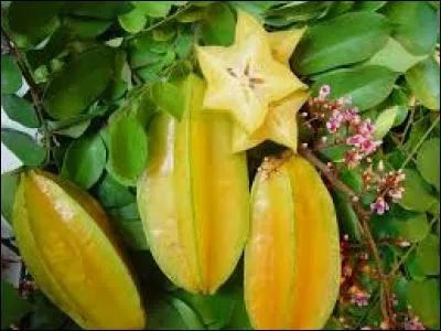 Comment s'appelle ce fruit ?