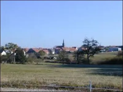 Nous nous rendons à Petersbach. Commune de l'Alsace bossue, dans le parc naturel régional des Vosges du Nord, elle se situe dans le département ...