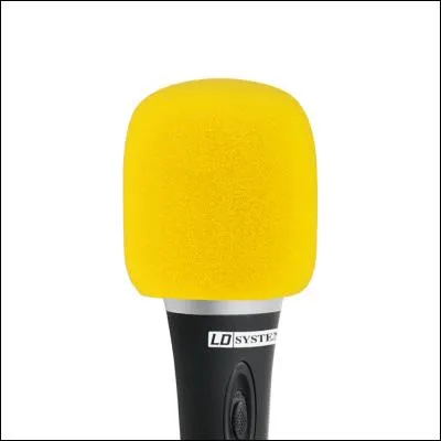 Lequel de ces chanteurs a un album nommé "Jaune" ?