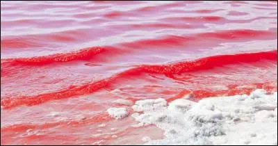 Lequel de ces pays n'est pas bordé par la mer Rouge ?