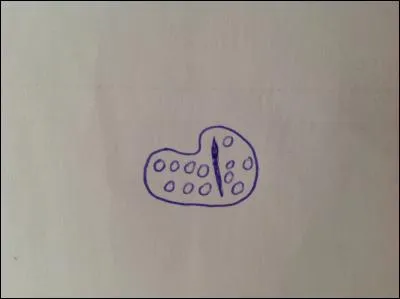 Quel était le rêve de l'auteur ?