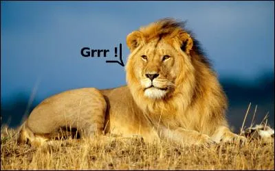 De la ville des Allobroges de Curalo, devenue Gratianopolis après la christianisation, les auteurs pensaient y faire acheter des noix. Comment appelle-t-on la ville de nos jours ?