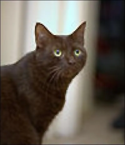 Essayez de la trouver !