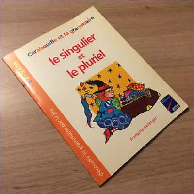 Parmi ces pluriels, un seul est juste, lequel ?