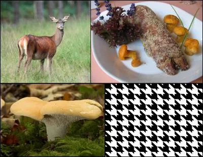 Le mot mystère est :