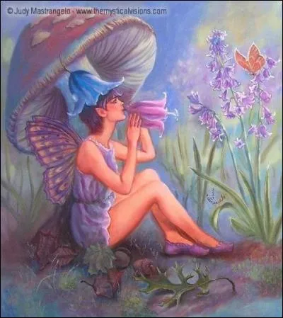 Que semblent être ces fleurs ?