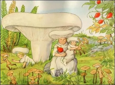 Que pourrait bien être ce gros champignon blanc ?