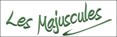 Quelle est la phrase correcte ?