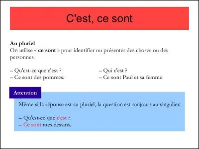 "L'archipel que tu vois en face d'Hyères, c'est les Iles d'Or"