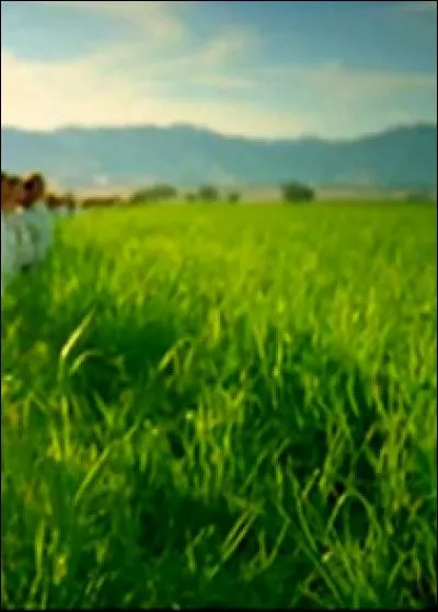 De quel clip provient cette image ?