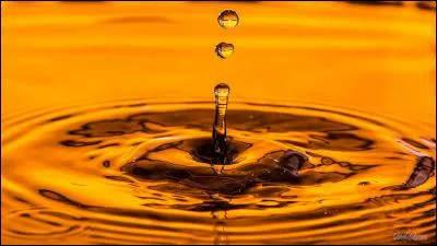 Comment s'appelle l'ancien remède breton contre la rage ?