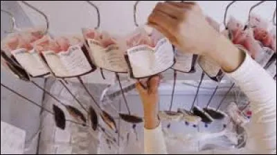 À quoi le sang prélevé va-t-il servir ?