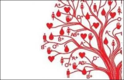 À quoi les plaquettes vont-elles servir ?