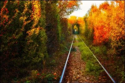 Plus a&eacute;r&eacute;, voici un autre tunnel plus romantique. Comment l'appelle-t-on ?