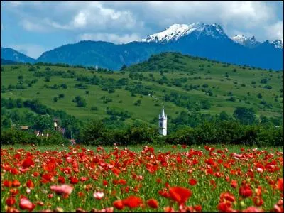 Ici, nous somme &agrave; Barşa, dans un champ de coquelicots au pied de la montagne ; mais de quelles cha&icirc;nes s'agit-il ?