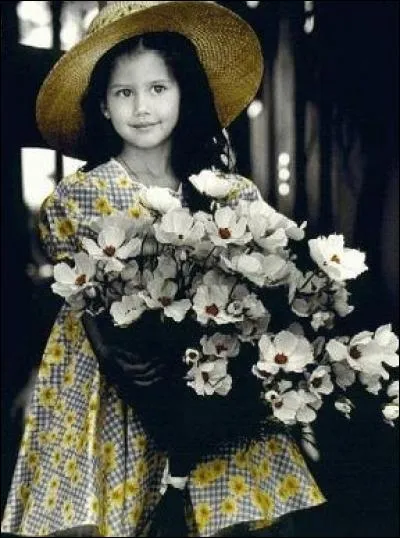 Que peuvent être ces fleurs ?