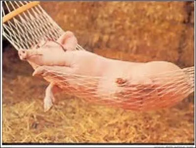 Quelle expression évoque cette situation ?