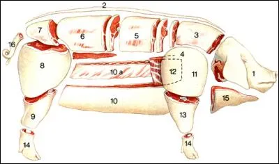 Où se trouve le travers de porc ?