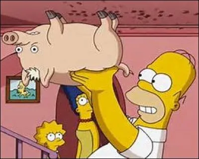 Il a des cheveux blonds et apparaît sous le nom de Spidder-Cochon dans la série des Simpson. Quel autre nom a-t-il ?