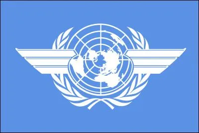 Quelle organisation des Nations unies édicte des normes et recommandations internationales pour garantir le haut niveau de sécurité du transport aérien ?