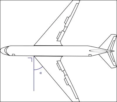 Comment appelle-t-on l'angle formé entre les ailes et le fuselage ?