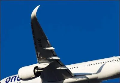 Comment appelle-t-on ces éléments de structure recourbés en bout d'aile ?