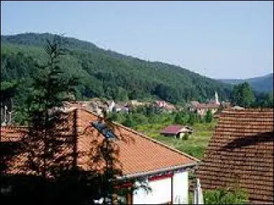 Village lorraine du Pays de Bitche, dans le Parc Naturel Régional des Vosges du Nord, Phillipsbourg se situe dans le département ...