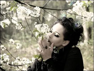 A qui sont les paroles : "Elle disait que vivre était cruel, elle ne croyait plus au soleil ni au silence des églises, même mes sourires lui faisaient peur, c'était l'hiver dans le fond de son coeur " ?