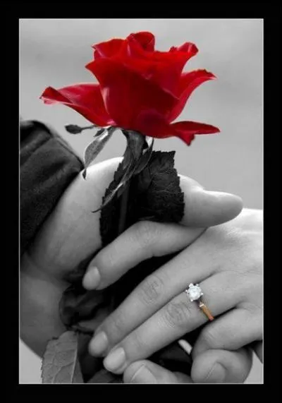 De qui sont les paroles "Désormais mon coeur vivra sous les décombres de ce monde qui nous ressemble" ?