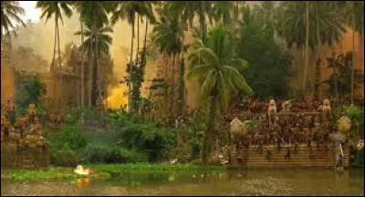 Dans quel film sur la guerre du Viêt Nam le capitaine Willard s'enfonce-t-il dans la jungle (et dans la folie) à la recherche du colonel Kurtz ?