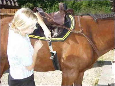 Avant de monter, que dois-tu faire ?