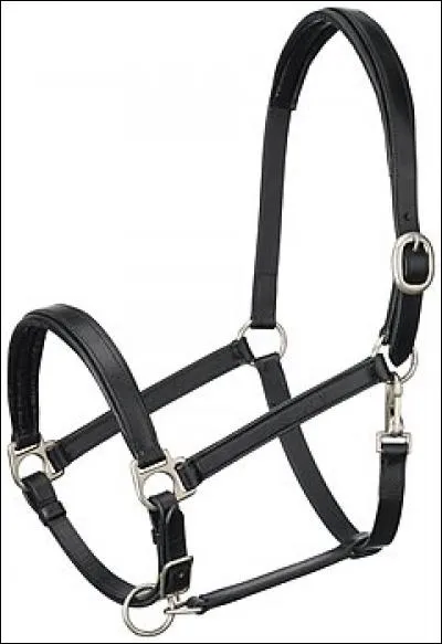 Qu'est-ce qu'un licol ?