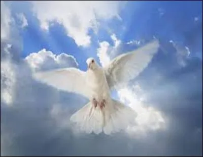 Qui disait qu'il irait dormir dans le paradis blanc ?