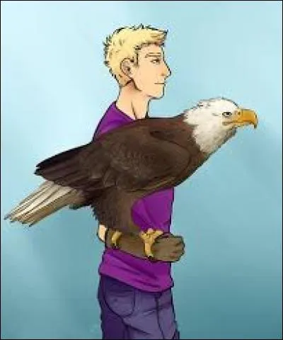 Quels pouvoirs a-t-il ?