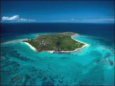 Ce reptile est dangereux. C'est le crocod...