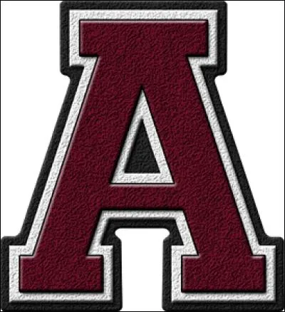 C'est un animal de compagnie plutôt solitaire. C'est donc le ch...