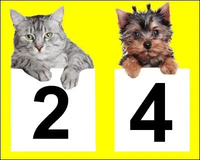 Chez l'homme, combien de phalanges le gros orteil possède-t-il ? Quel animal a la bonne réponse ?