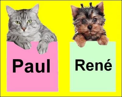 Quel est le prénom du peintre surréaliste belge Magritte ? Quel animal a la bonne réponse ?