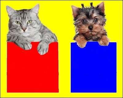 Quelle est la couleur de la pierre précieuse appelée rubis ? Quel animal a la bonne réponse ?