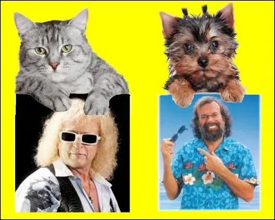 À quel chanteur Johnny Hallyday répond-il avec la chanson Cheveux longs et idées courtes en 1966 ? Quel animal a la bonne réponse ?